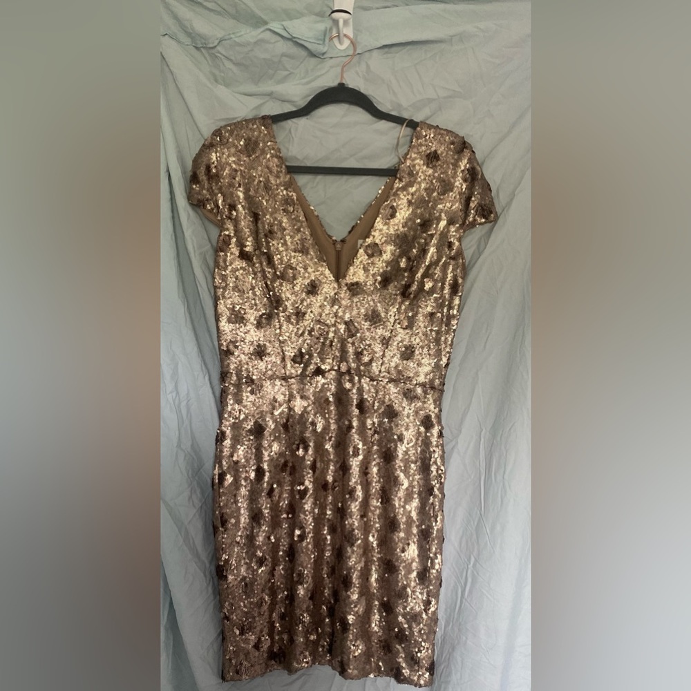 Dress the population Zoe champagne cocktail dress